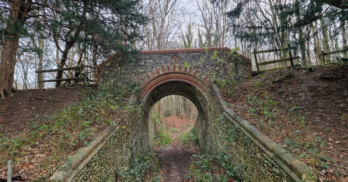 Not a Bridge Too Far Walk from Sheepleas Car Park, Shere Road Ramblers